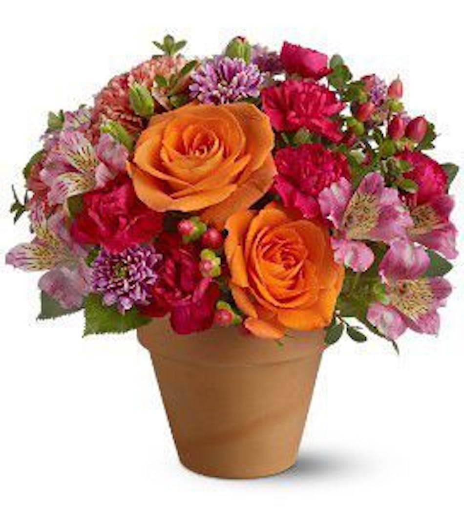 Rose Clay Pot Floral Arrangement