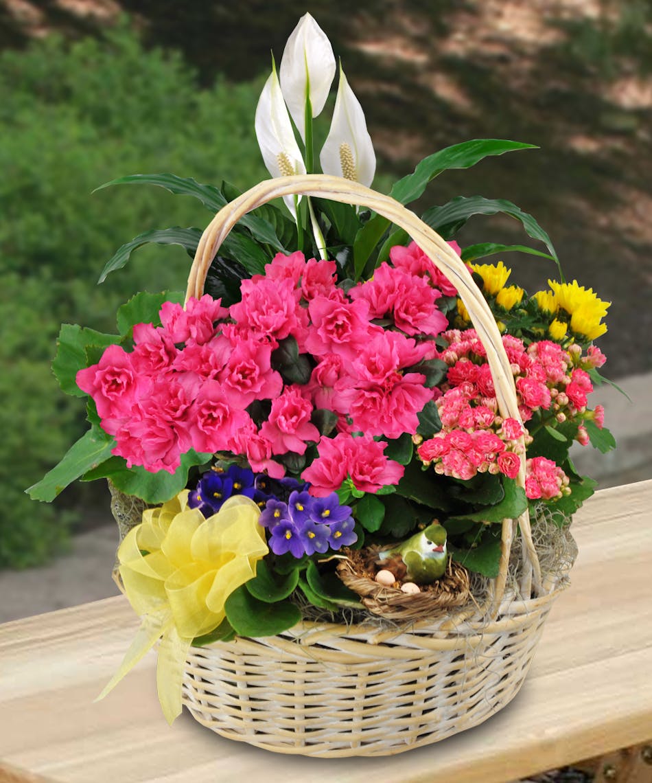 Deluxe Blooming Garden Basket in Minneapolis, MN Schaaf Floral