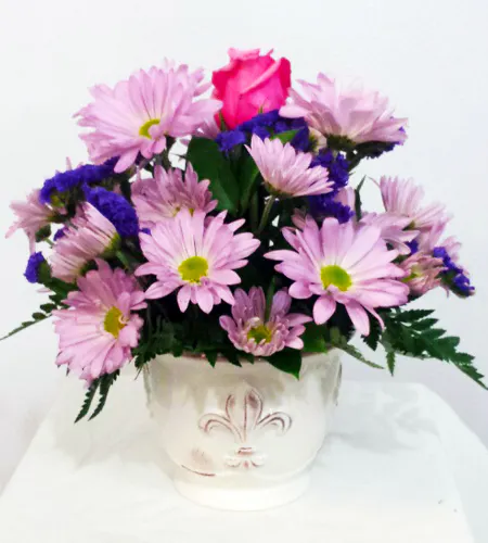 Daisy Sunshine Floral Arrangement in Minneapolis, MN Schaaf Floral