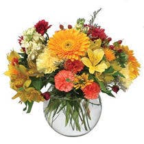 Bubble Bowl Mixed Seasonal Flowers Arrangement in Minneapolis, MN Schaaf Floral