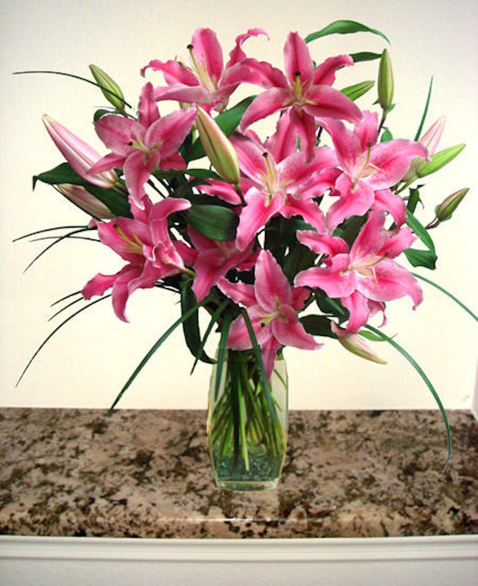 Stargazer Lily Floral Arrangement