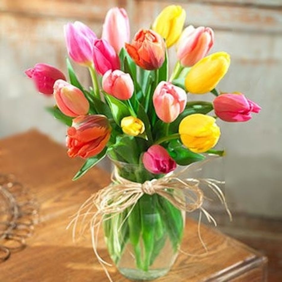 Tulip Arrangement