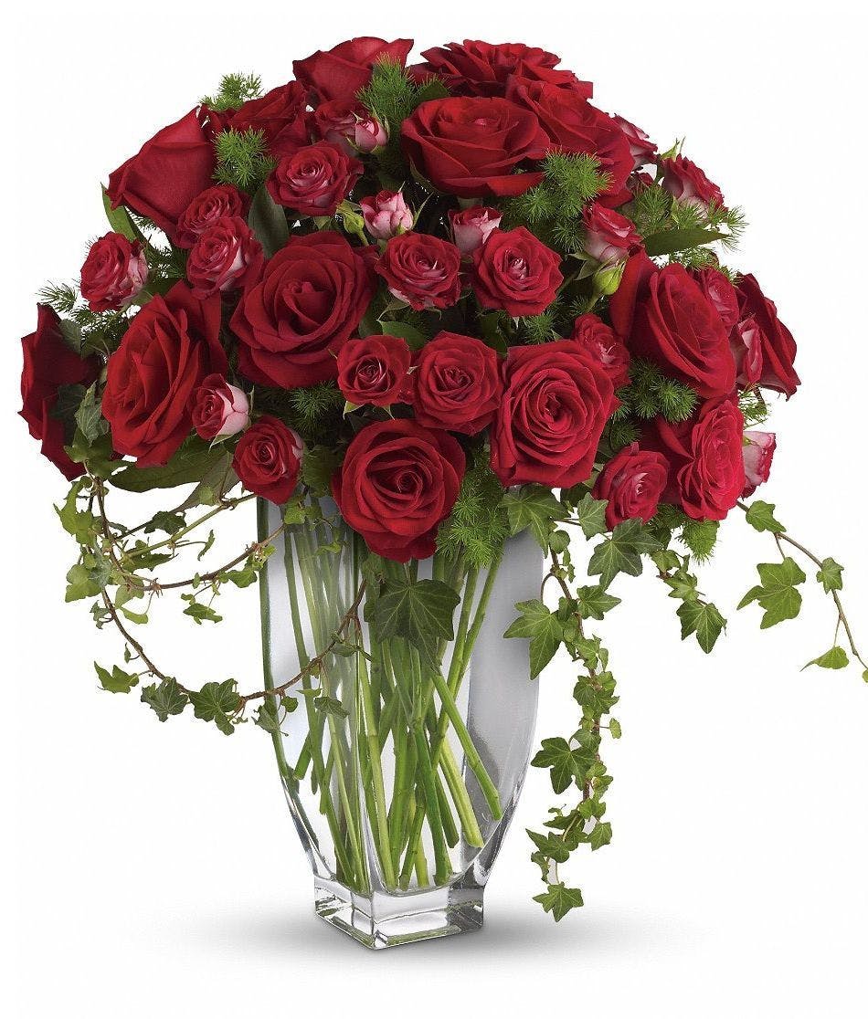 Red Roses Arranged