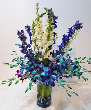 Blue Bon Orchid Arrangement Flower Delivery Mn Schaaf Floral Minnesota