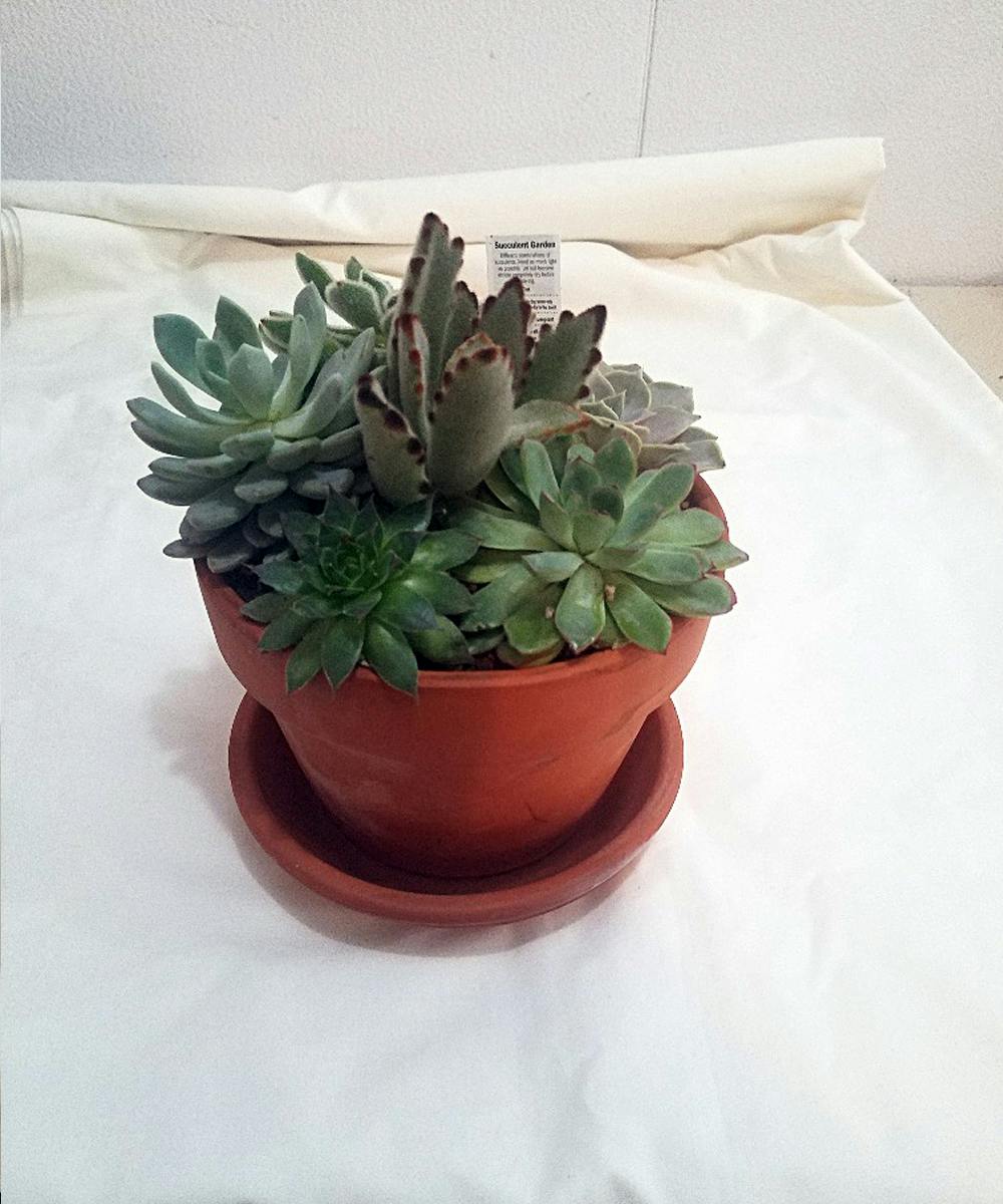 Local Favorite Minneapolis Florist