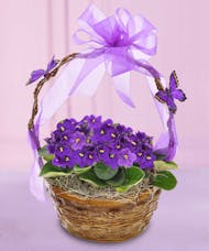 Butterfly &  Violet Basket