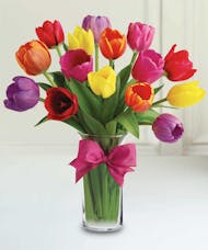 Mixed Spring Tulips