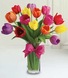 Mixed Spring Tulips