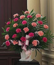 Classic Carnations