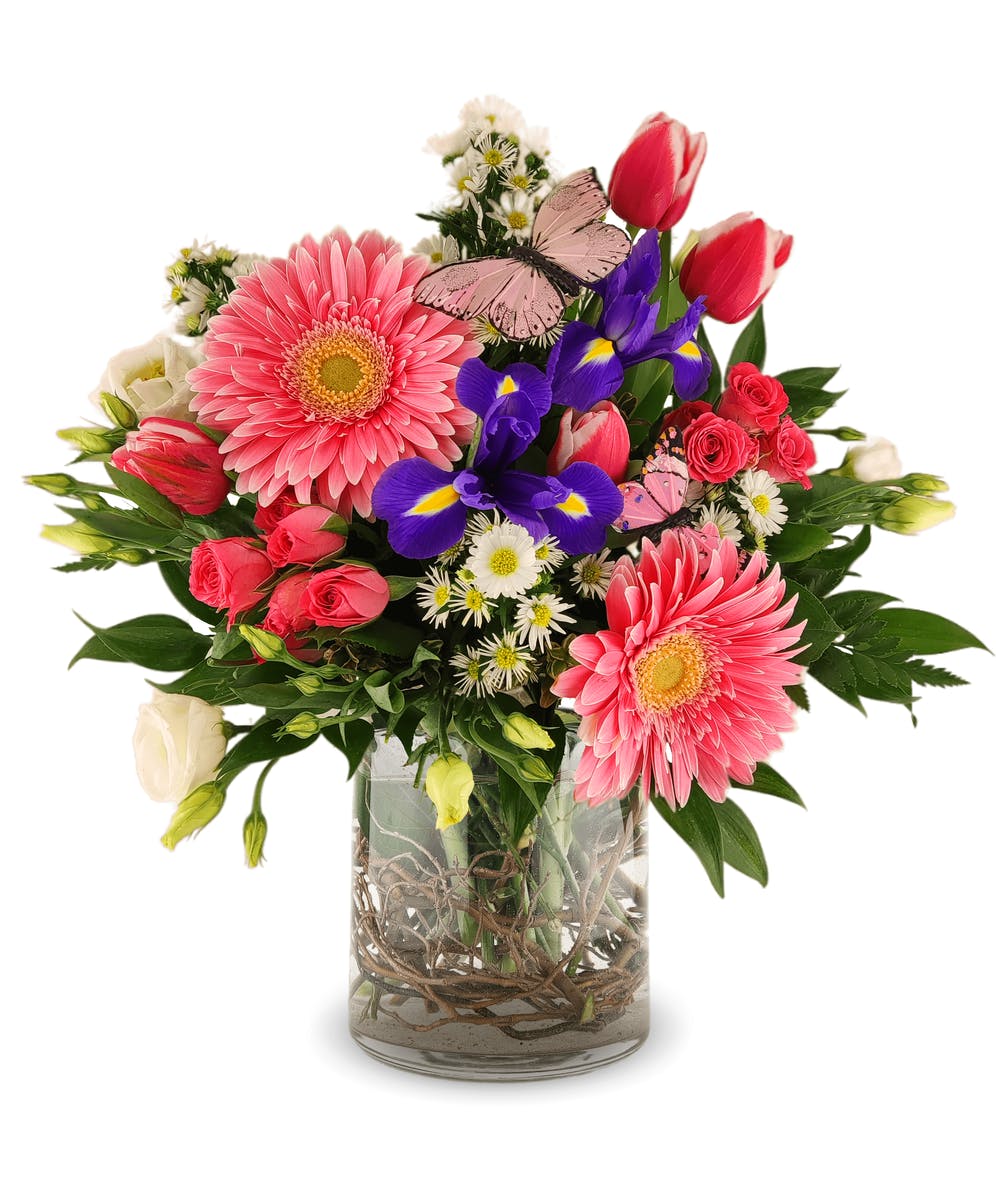 Northern Belle Minneapolis MN Flower Delivery by Schaaf Floral