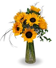 The Sunflower Metropolitan