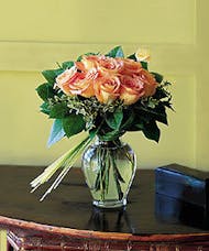 Perfectly Peachy Roses