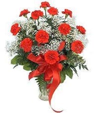 Holiday Red Carnations