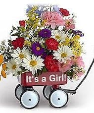 Baby's First Wagon Bouquet (Girl)